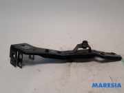 Frontblech Renault Megane III Coupe DZ 11009