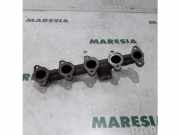 Auspuffkrümmer Peugeot 308 CC 0341J2