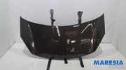 Motorhaube Citroen C3 II SC 7901R1