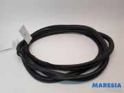 Türdichtung Peugeot Expert III Kasten V 9808414780