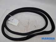 Türgummi links hinten Peugeot 108 B000820480