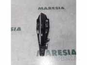 Türgriff links hinten Citroen C4 II Grand Picasso 9688834180