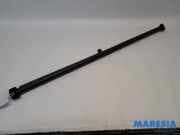 Laderaumabdeckung Peugeot 307 CC 8794PE