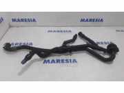 Wasserpumpe Renault Master III Kasten FV 0392023219