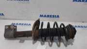 Federbein links vorne Citroen C4 I Picasso U 5002PK