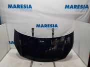 Motorhaube Citroen C3 II SC 7901R1