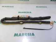 Airbag Dach rechts Citroen C3 II SC 9672465480