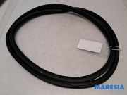 Türgummi links vorne Citroen C3 III SX 9813059580