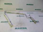 Airbag Dach links Renault Clio III BR0/1, CR0/1 8200635950