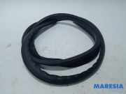 Türgummi rechts vorne Renault Twingo III BCM 808328705R