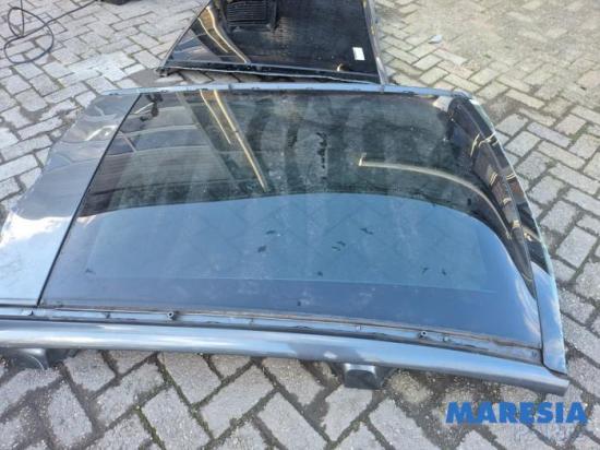 Panoramadach Peugeot 5008 I 8401XC Bild Panoramadach Peugeot 5008 I 8401XC