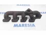 Auspuffkrümmer Peugeot Boxer Kasten 6U3Q9430AD