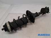Federbein links vorne Fiat Panda 312, 319 51926519