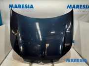 Motorhaube Citroen C5 III Break RW 7901P3