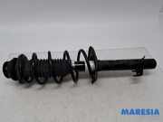 Federbein links vorne Peugeot 107 5202RW