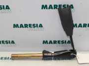 Gurtstraffer Renault Laguna II Grandtour G 8200074864