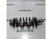 Sonstiges Teil Peugeot 207 SW WK 9800993080