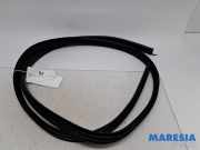 Türgummi rechts vorne Renault Twingo III BCM 808323410R