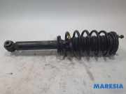 Federbein links vorne Citroen C5 III RD 9686177480