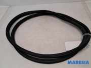 Türgummi rechts vorne Citroen C3 III SX 9813059580