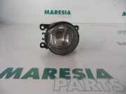 Nebelscheinwerfer links vorne Citroen C5 II RC 6206E1
