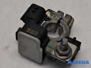 Sensor Renault Zoe Kasten/Schrägheck BFM 250825784R