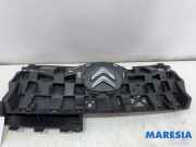 Kühlergrill Citroen C1 1607987080