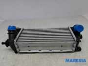 Ladeluftkühler Fiat 500 312 0051855481