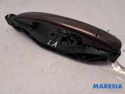Türgriff links hinten Peugeot 2008 I 9101GH