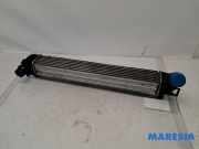 Ladeluftkühler Renault Megane III Grandtour KZ 144961285R