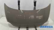 Motorhaube Fiat 500 C 312 52009424