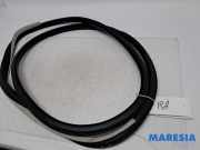 Türgummi rechts hinten Renault Espace V JR 769236557R