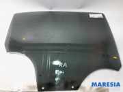 Türscheibe rechts hinten Citroen C3 III SX 43R006723