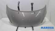 Motorhaube Peugeot 207 7901N2