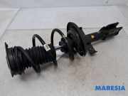 Federbein rechts vorne Renault Clio Grandtour IV R 543020808R