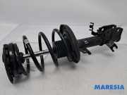 Federbein links vorne Renault Scenic III JZ 543020017R