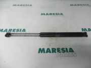 Heckklappendämpfer Peugeot 1007 9649587680