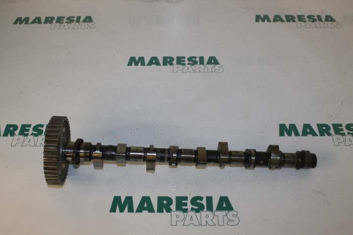 Nockenwelle Fiat Ulysse 220 MCRFU Bild Nockenwelle Fiat Ulysse 220 MCRFU