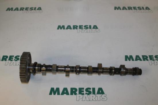 Nockenwelle Fiat Ulysse 220 MCRFU Bild Nockenwelle Fiat Ulysse 220 MCRFU