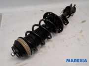 Federbein links vorne Fiat Panda 312, 319 51926520