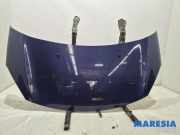 Motorhaube Citroen C3 II SC 7901R1