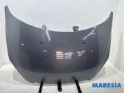 Motorhaube Peugeot 307 CC 7901J0