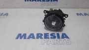 Nebelscheinwerfer links vorne Citroen C6 T 6206E1
