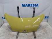 Motorhaube Citroen C1 1611149480