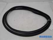 Türgummi links vorne Citroen C3 III SX 9813059580