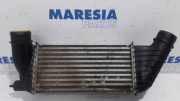 Ladeluftkühler Fiat Scudo Kasten 270 99000037