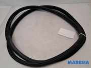Türgummi rechts vorne Fiat 500L 351 51905920
