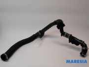 Leitung Peugeot Expert III Kasten V 9675758280