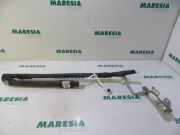 Airbag Dach links Renault Modus - Grand Modus P 8200558121