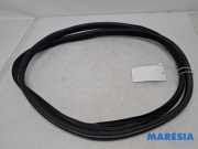 Türgummi rechts vorne Peugeot 3008 I 9676798080